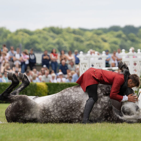 Ben Atkinson, of Atkinson Action Horses, performing with one of his horses