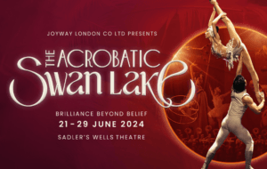 The Acrobatic Swan Lake